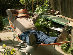 siesta